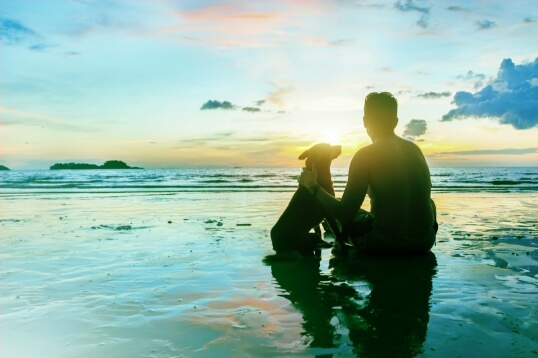 犬と人と太陽を見ている
