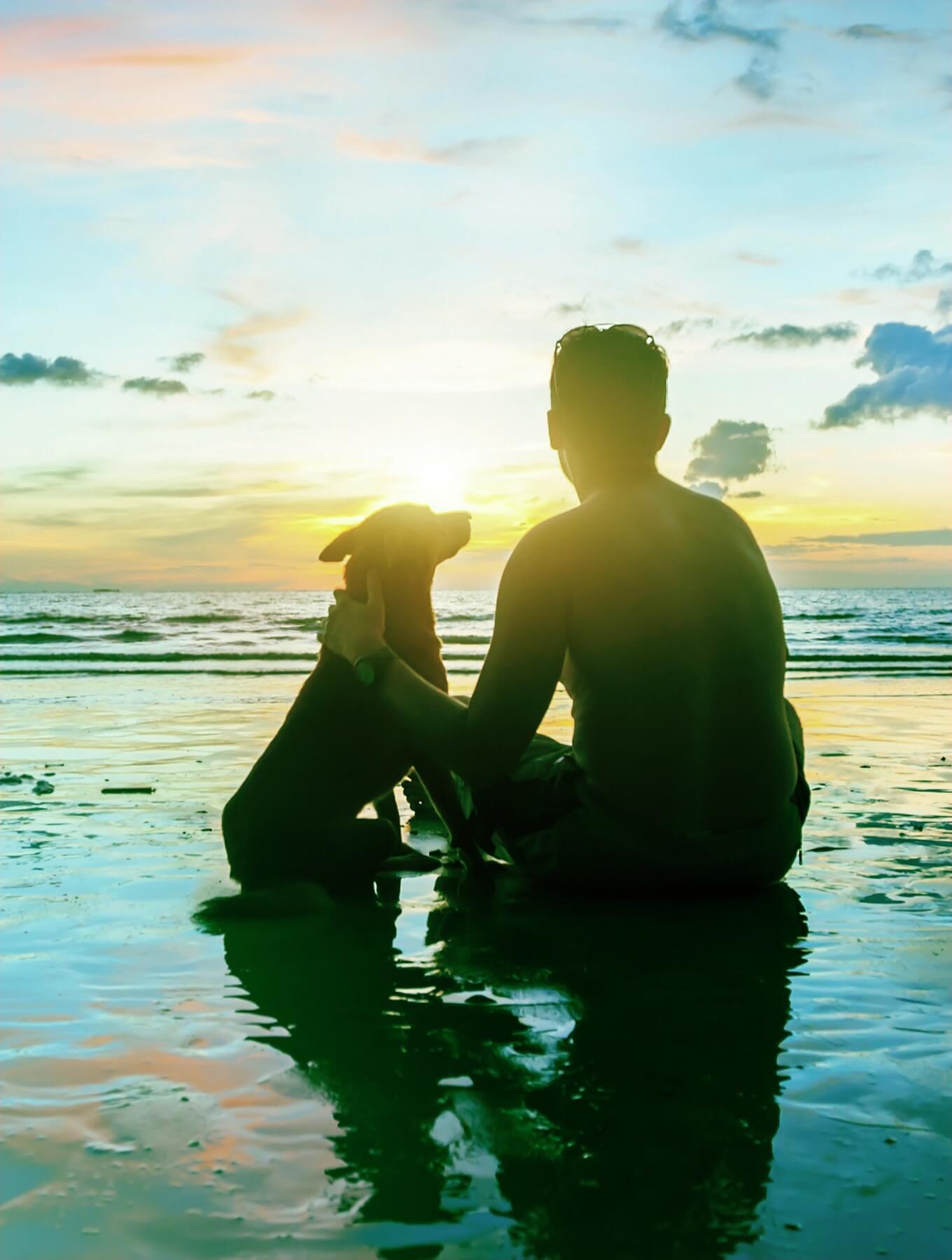 犬と人と太陽を見ている